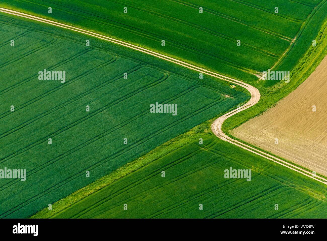 Luftaufnahme, gewundenen Feldweg zwischen grünen Feldern, Ruhrgebiet, Nordrhein-Westfalen, Deutschland Stockfoto