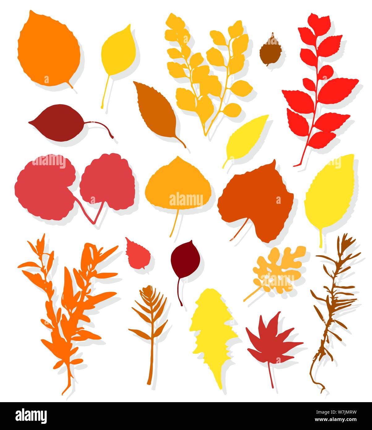 Bunte Blätter im Herbst auf weißem Hintergrund. Vector Illustration Stock Vektor