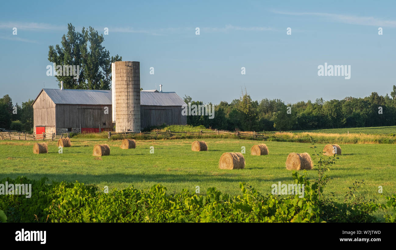 In Peterborough County, Ontario, ein schöner Morgen Sonnenaufgang Bild eines Bauern Feld mit einigen runde Heuballen und einem klassischen alten Scheune. Stockfoto