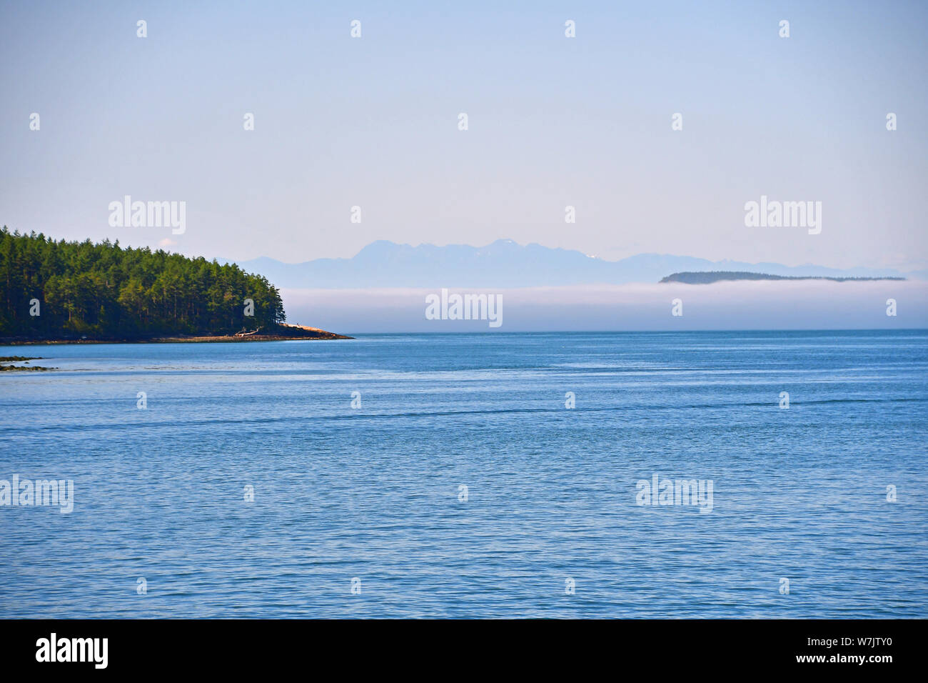 Morgens Nebel auf der Salish Sea in der Nähe von Anacortes, Washington, USA Stockfoto