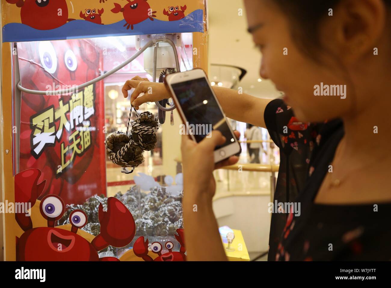 Eine Frau nimmt Fotos der Freien behaarte Krabben, die Sie von einer Puppe - ergreifende Maschine in einem Einkaufszentrum in Hangzhou City, East China Zhejiang provinz, 17 erhielten Stockfoto