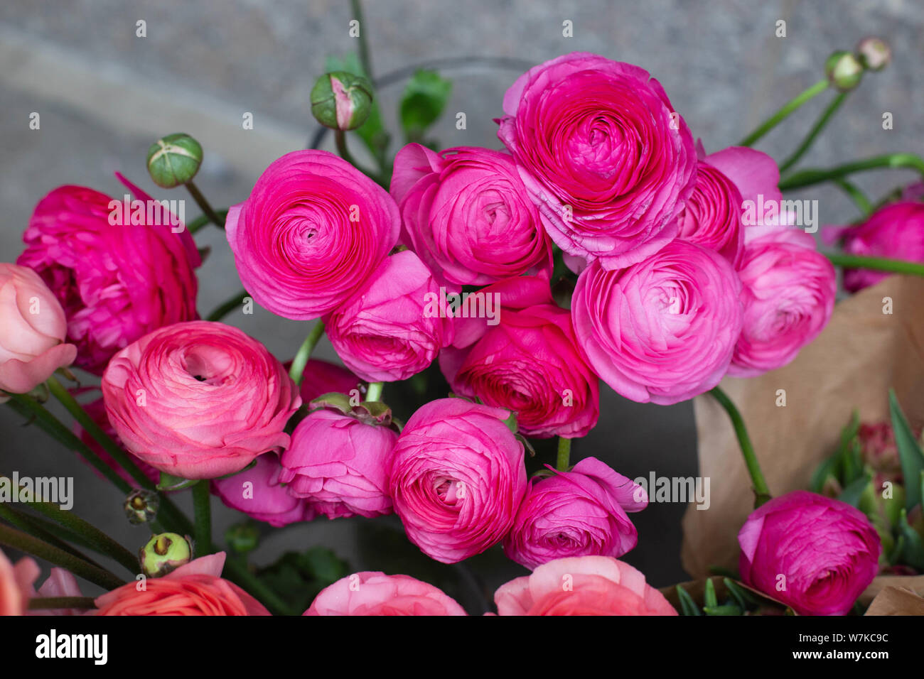 Schöne bunte Blumen Hintergrund der Ansicht von oben Tageslicht