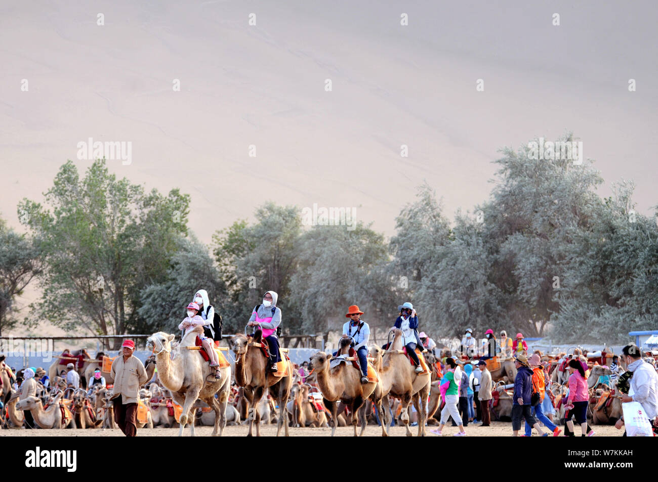 Touristen fahren Kamele im Crescent Feder und Singing-Sand Dünen scenic Spot in Dunhuang Stadt, Provinz Gansu im Nordwesten Chinas, 24. Juli 2017. Tou Stockfoto