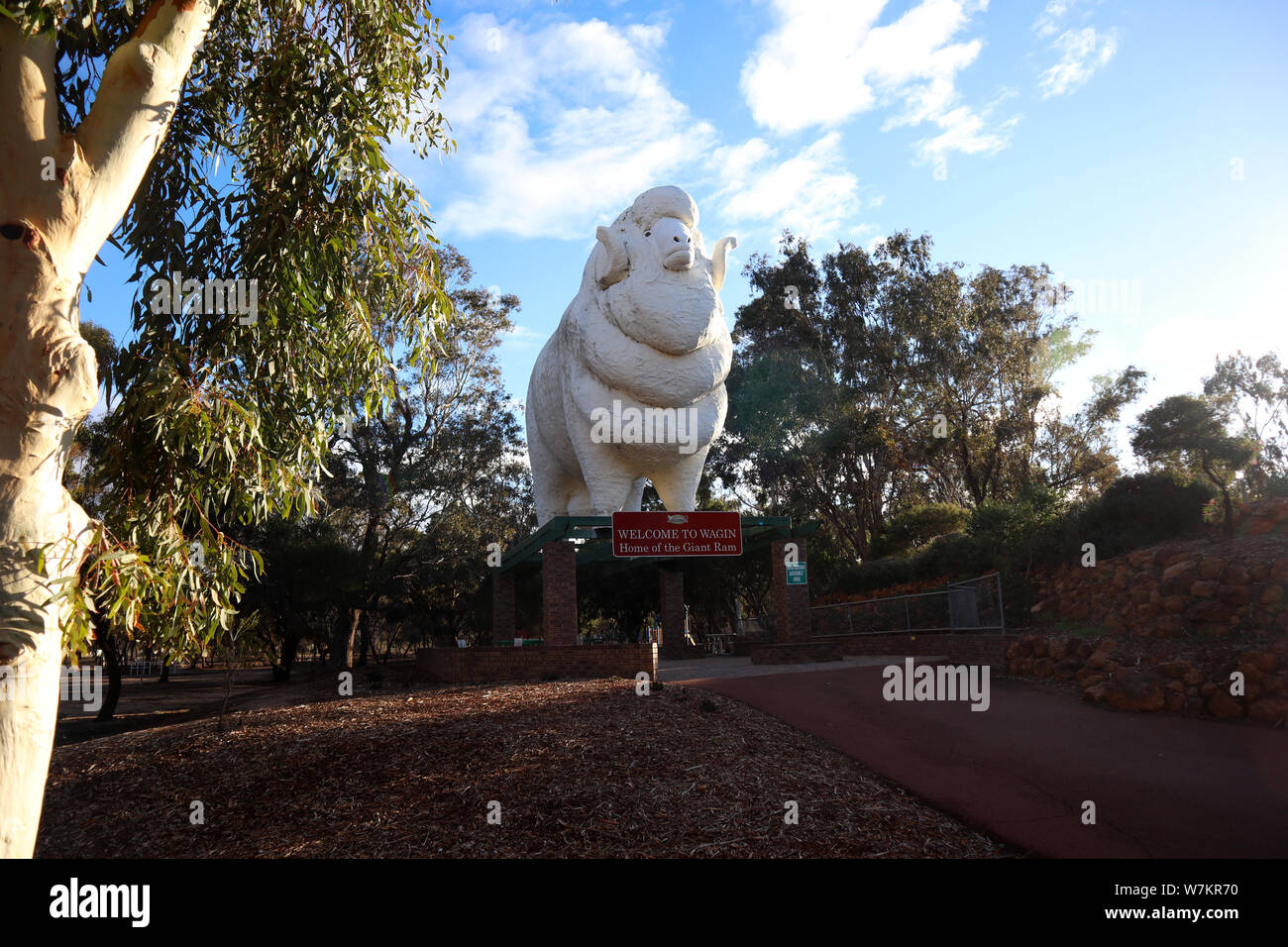 The Big RAM „Baart“ in Wagin, WA Stockfoto