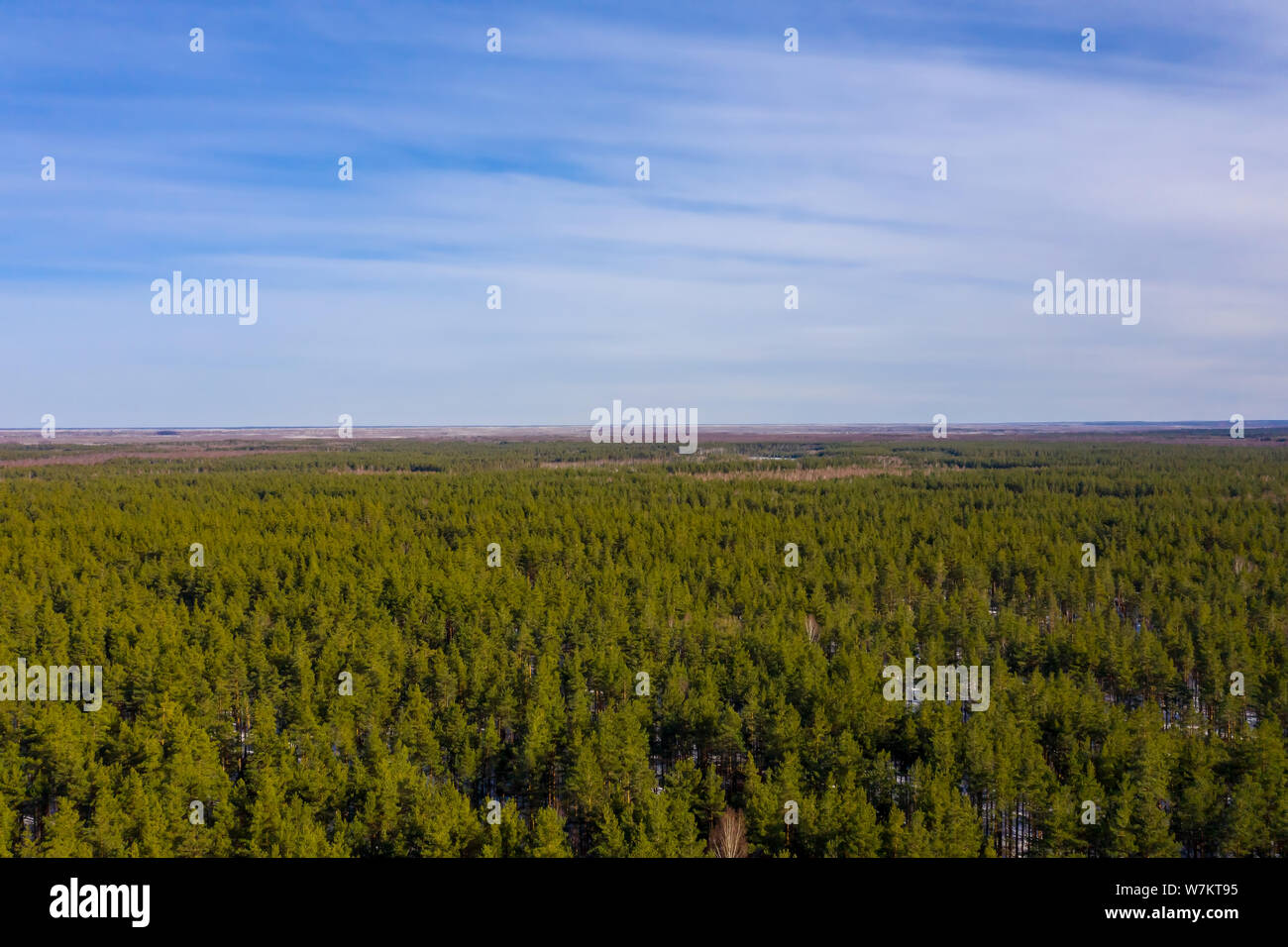 Frühling Landschaft mit Wald und blauer Himmel. Antenne drone Schuß Stockfoto