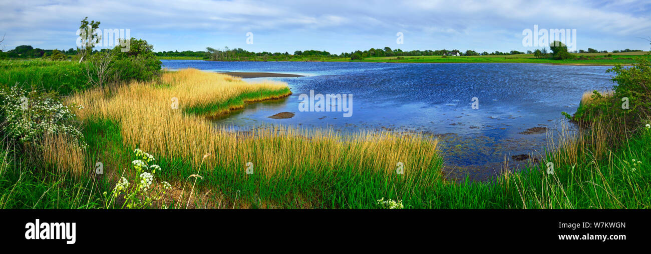 Wenig Noor, Holnis-Noor, Natur auf Holnis, Firth von Flensburg, Schleswig-Holstein, Deutschland erhalten Stockfoto