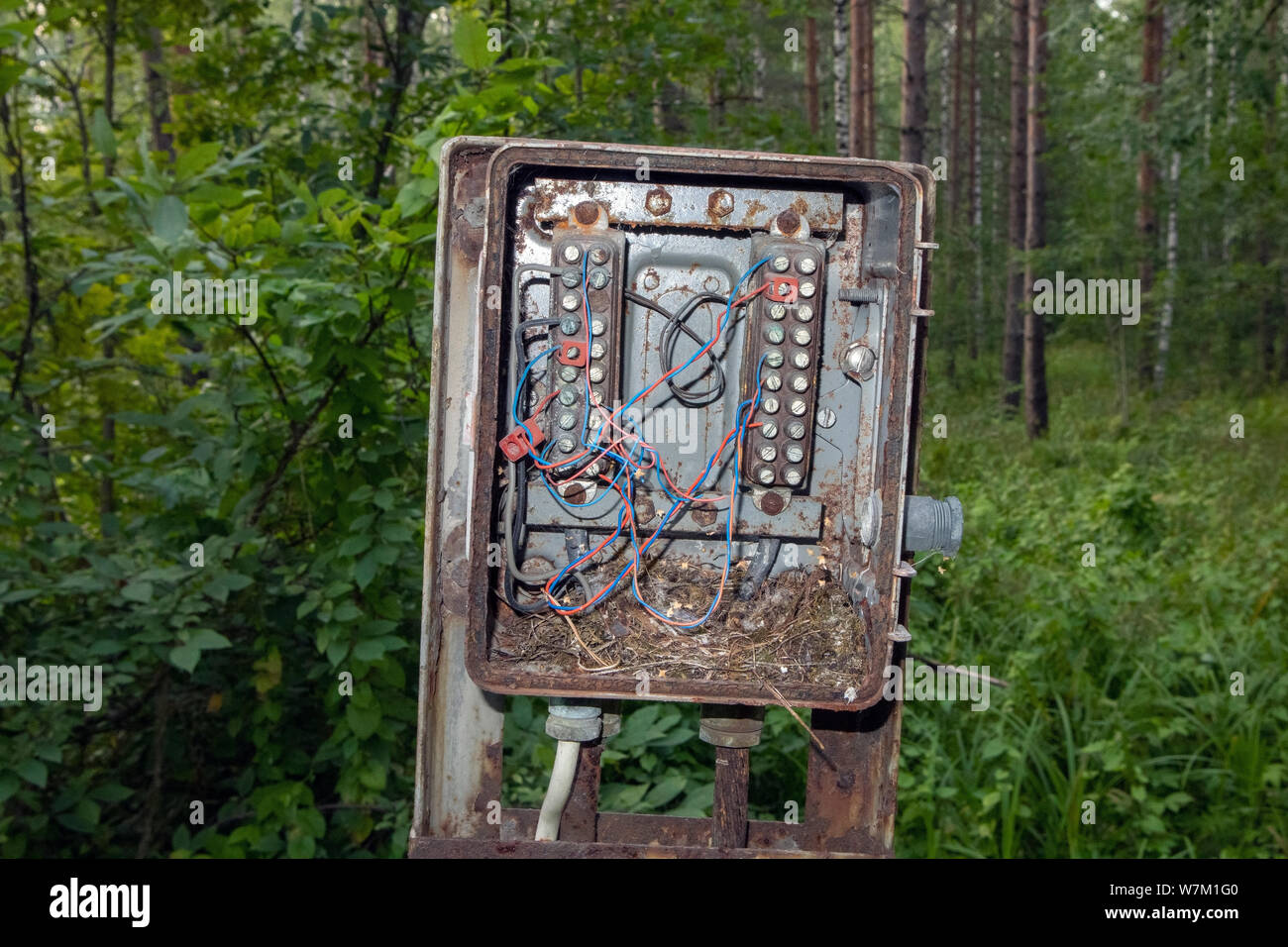 Alte elektrische Feld im Wald Stockfoto