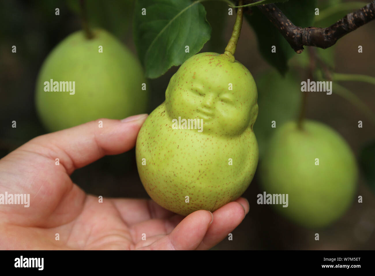 Buddha Formig Stockfotos Und Bilder Kaufen Alamy