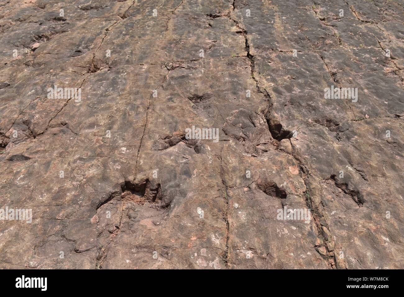 Blick auf die Fußabdrücke von Dinosauriern der sauropoden Dinosaurier aus der frühen Kreidezeit in Maotai Stadt Guiyang, Provinz Guizhou im Südwesten Chinas, 21 Au Stockfoto