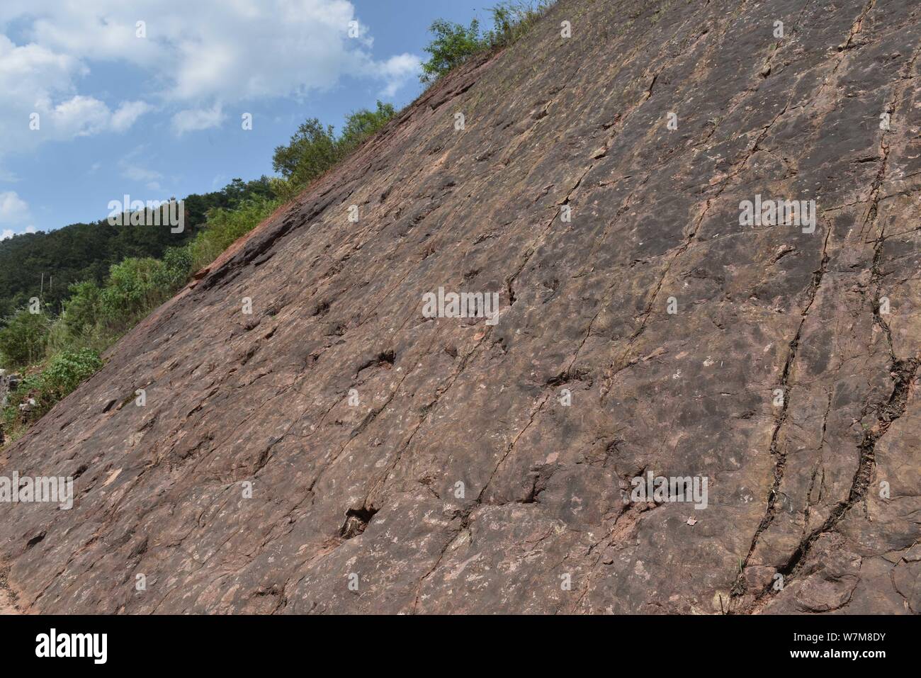 Blick auf die Fußabdrücke von Dinosauriern der sauropoden Dinosaurier aus der frühen Kreidezeit in Maotai Stadt Guiyang, Provinz Guizhou im Südwesten Chinas, 21 Au Stockfoto