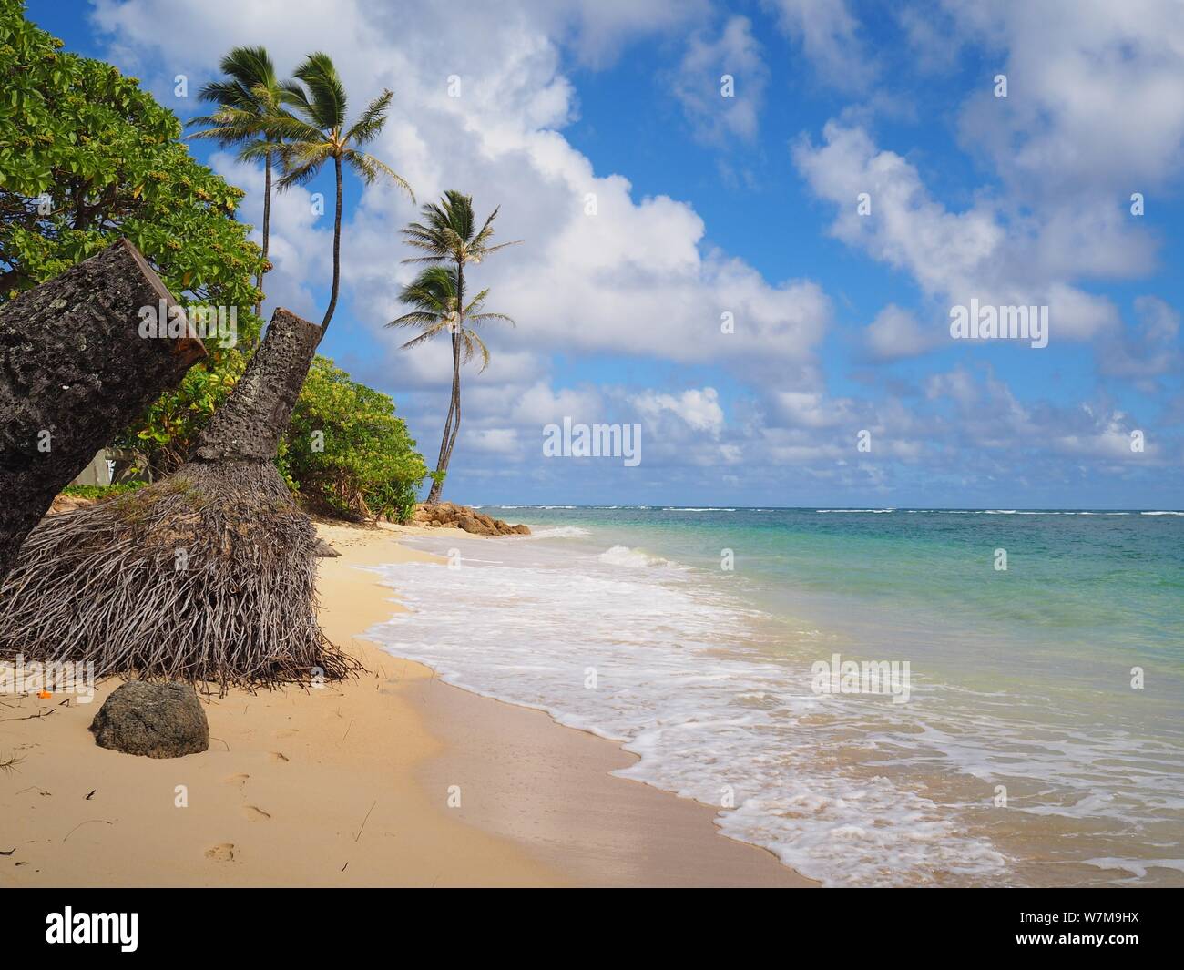 Strand in Oahu Hawaii Stockfoto