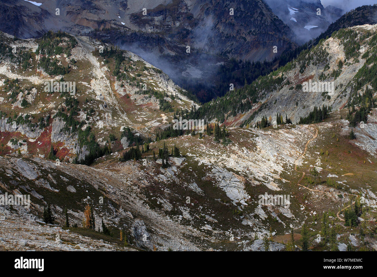 Die spektakuläre Loop-Maple Trail nach oben vom regnerischen Pass Bereich der North Cascades Scenic Highway, oberhalb der Baumgrenze, mit den Inseln von subalpine Tannen und Lärchen, North Cascades National Park Cascade Range, Washington, Oktober 2009. Stockfoto