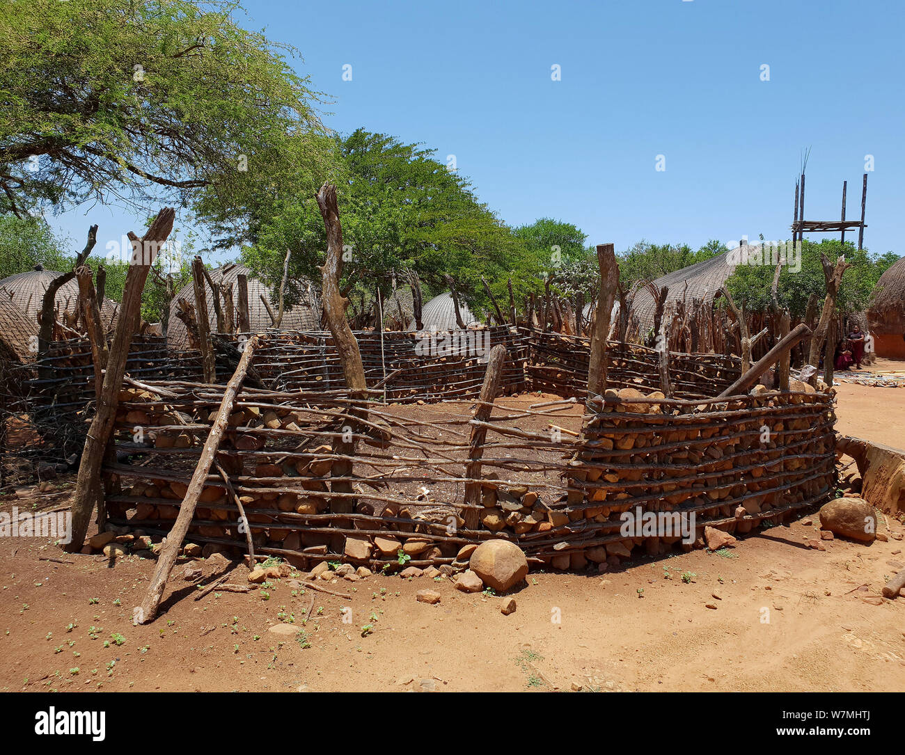 Zulu kraal bei Shakaland Zulu Cultural Village, Eshowe, Kwazulu Natal, Südafrika Stockfoto