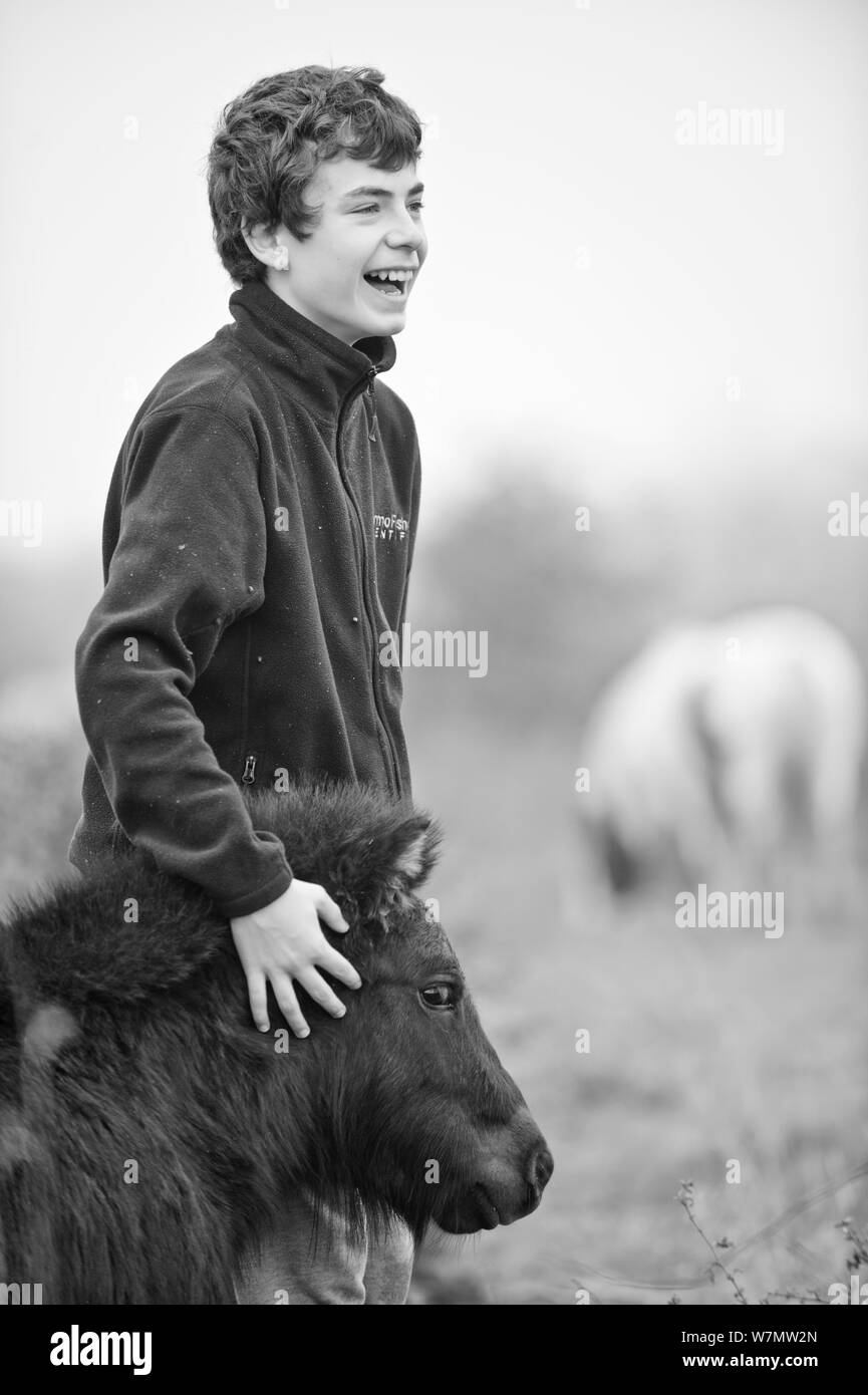 Junge Freiwillige streicheln Pony, RSPB Vange Sümpfe finden, Basildon, Essex, England, UK, November 2011. Model Released. Stockfoto