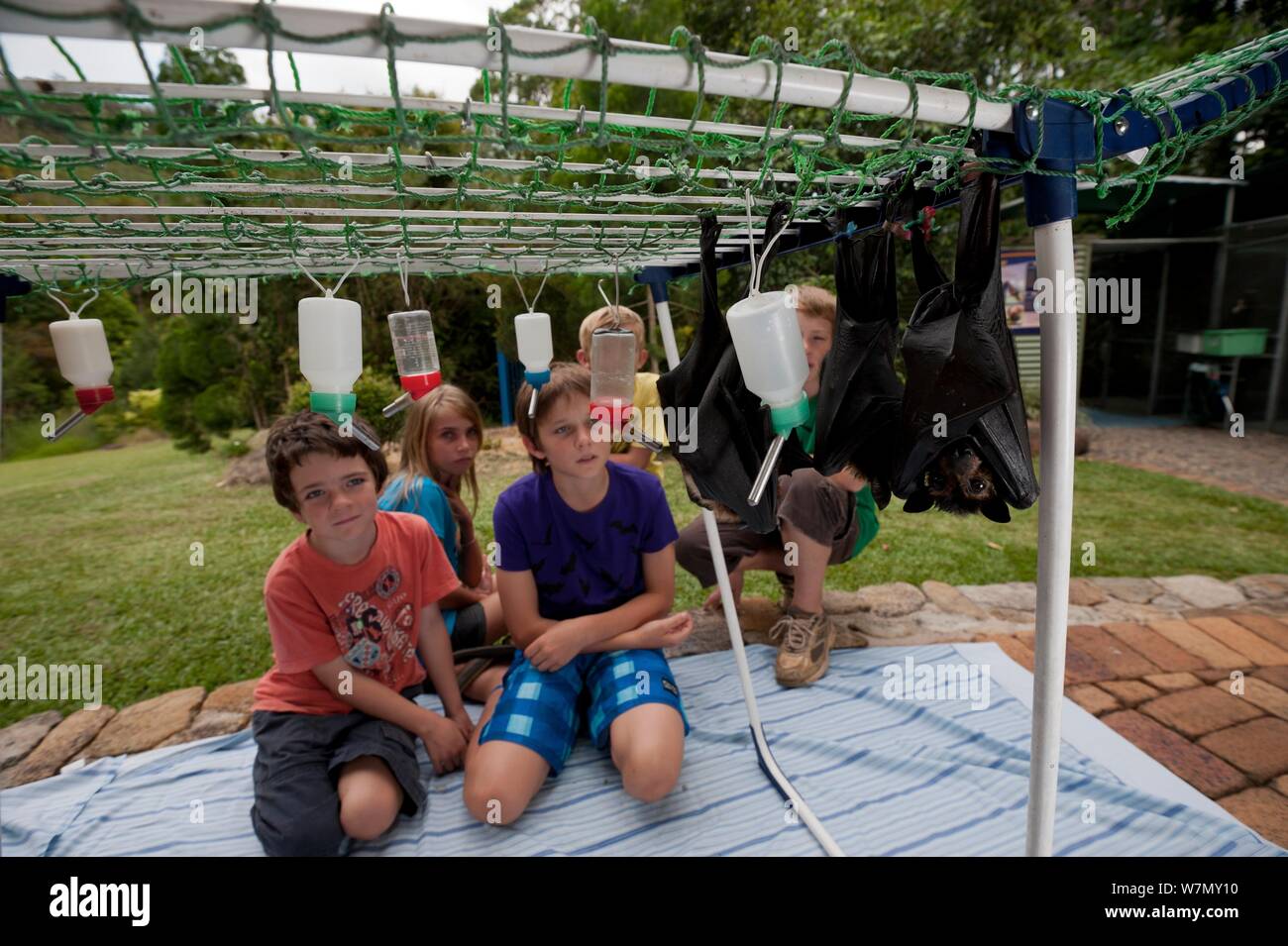 Tolga Bat Krankenhaus freiwillige Kinder spielen und die Flughunde ernähren. Stockfoto