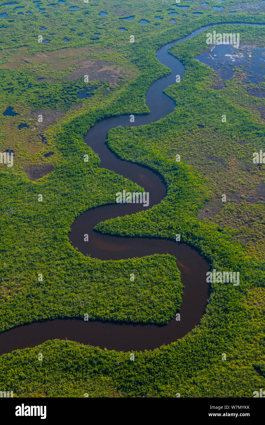 Luftbild des Flusses durch den Everglades National Park, Florida, USA, Februar 2012 fließt Stockfoto