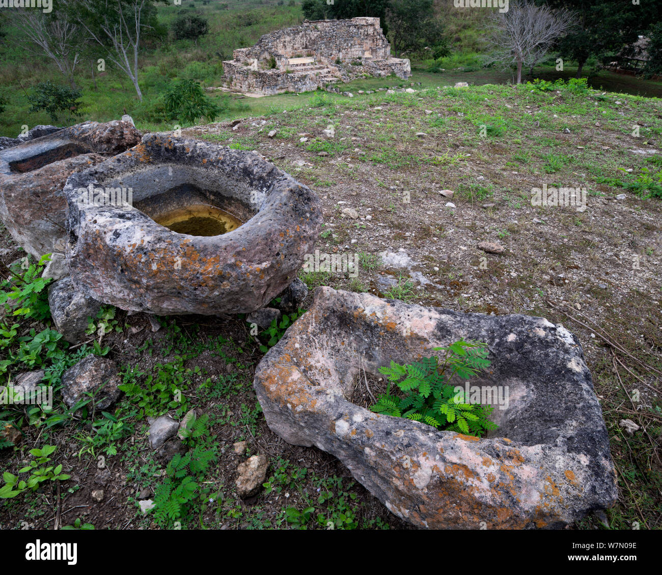 Schleifen der Steine in Maya Ruinen, Oxkintok, eine der ältesten Städte in Yucatan mit hieroglyphischen Inschriften einige der frühesten Termine in Yucatan bekannt. Stockfoto