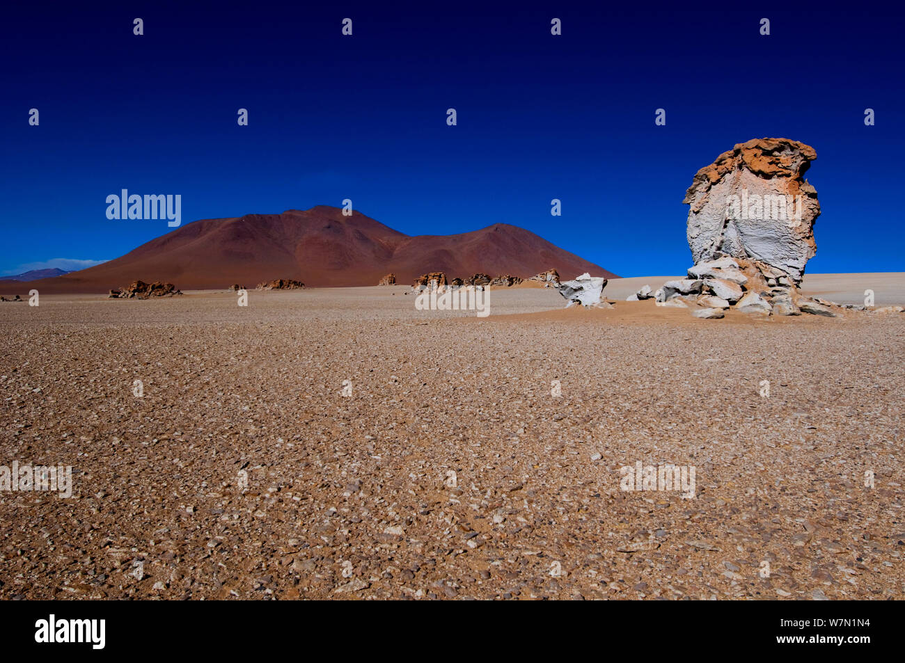 Trockenen Ebenen des Dali-Wüste mit Erodierenden Felsen und Berge am Horizont. Bolivianischen Altiplano, Südamerika. Stockfoto