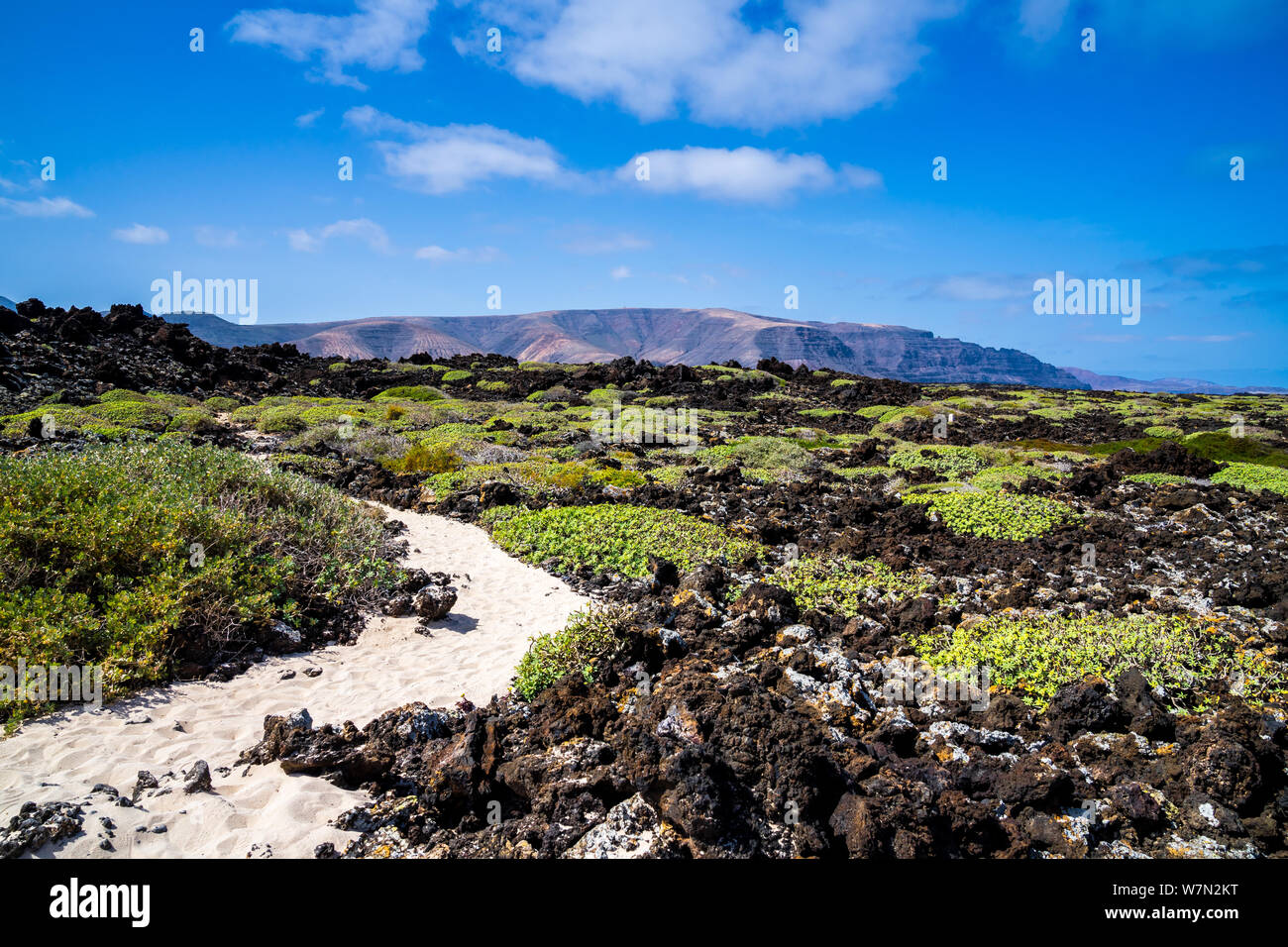 Spanien, Lanzarote, Wanderweg der weißen Sand durch Vegetation bedeckt lava Feld mit Blick zum Famara massiv Stockfoto