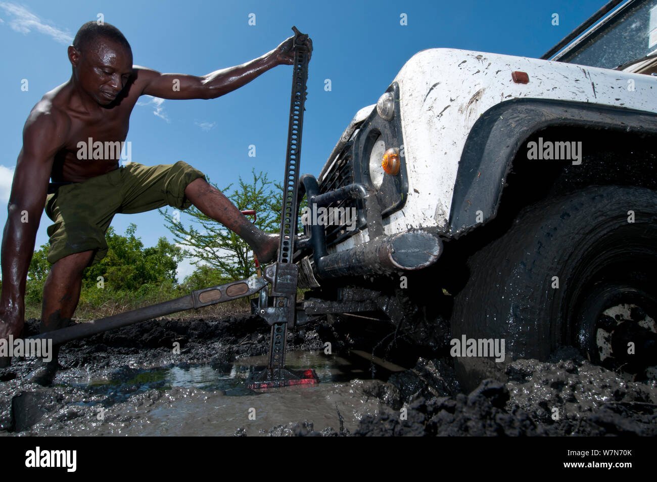 Tana River Delta ist abgelegen und starker regen Duschen machen das schwarze baumwolle Boden unpassierbar. Der LandRover im Schlamm auf der Straße, so klemmt ein Waldläufer aus dem unteren Tana Delta Conservation Trust arbeitet das Fahrzeug aus dem Schlamm, Kenia, Ostafrika 2010 Stockfoto