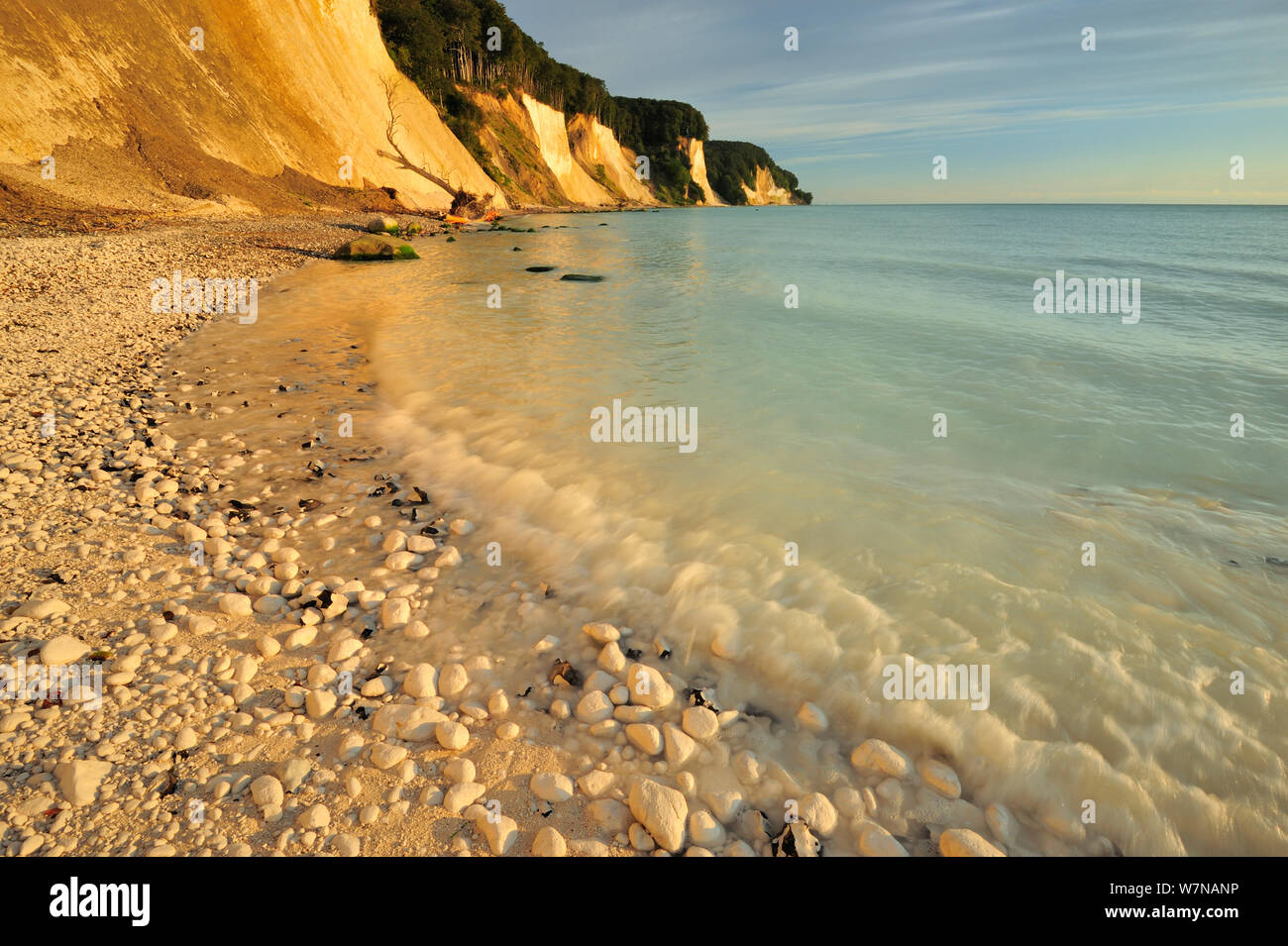 Weiße Kreidefelsen und Pebble Beach an der Küste der Ostsee, Nationalpark Jasmund, Deutschland, August 2011 Stockfoto