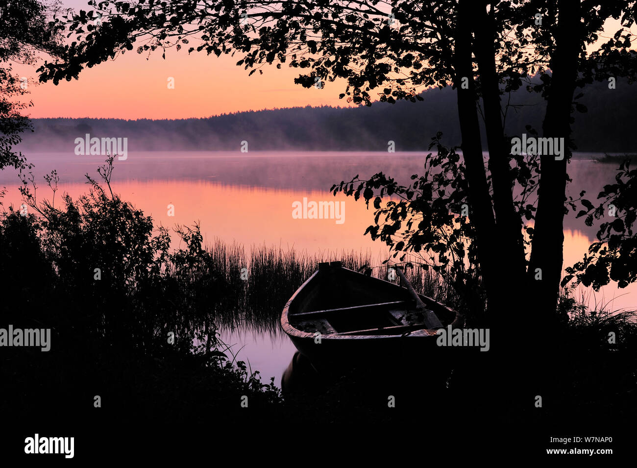 Ruderboot an Kruseliner See im Naturpark Feldberger Seenlandschaft, Oktober günstig Stockfoto