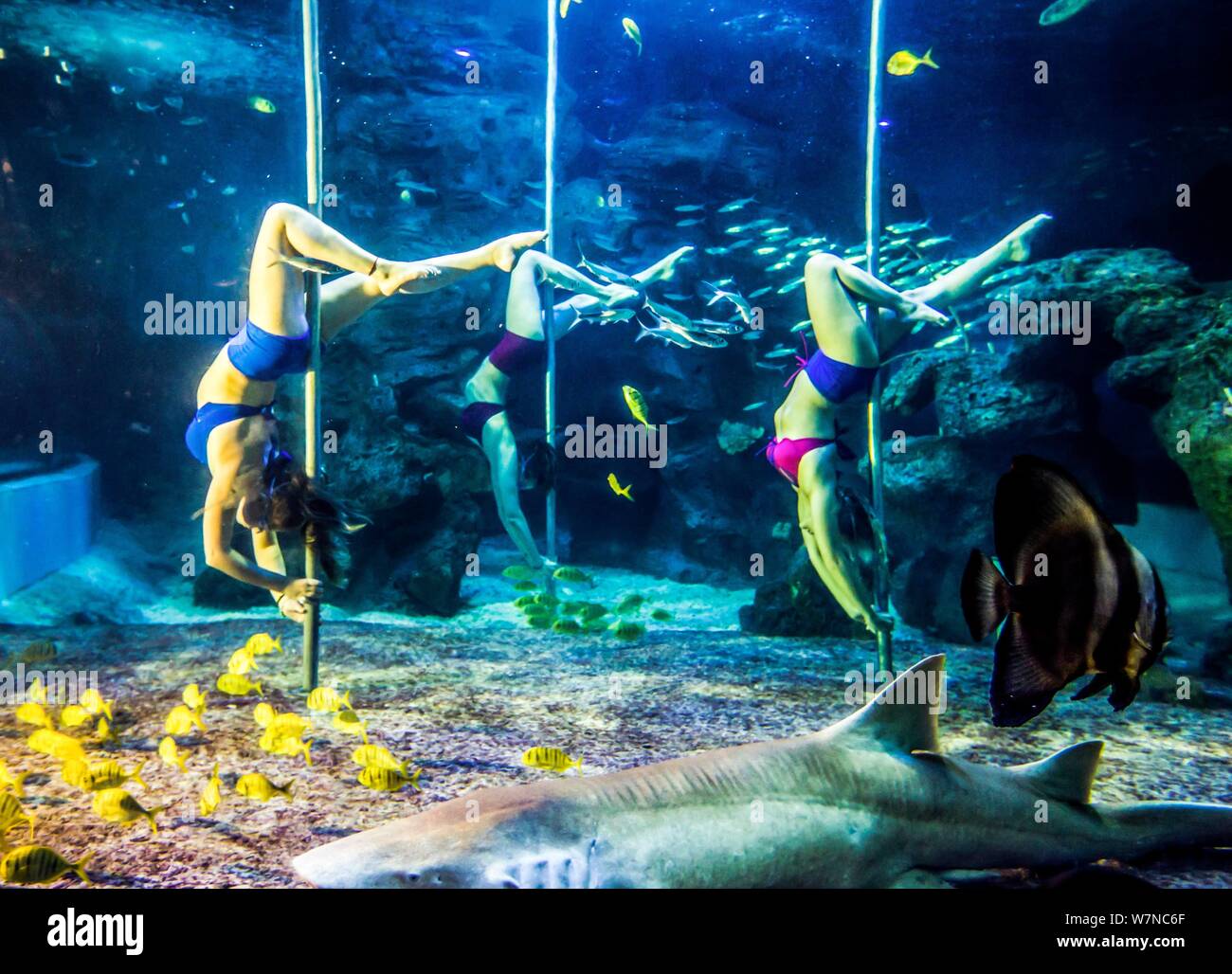 Touristen beobachten Russische Mädchen ein Unterwasser Pole Dance in einem Sea World in Fuzhou City, im Südosten der chinesischen Provinz Fujian, 14. Juli 2017. Stockfoto