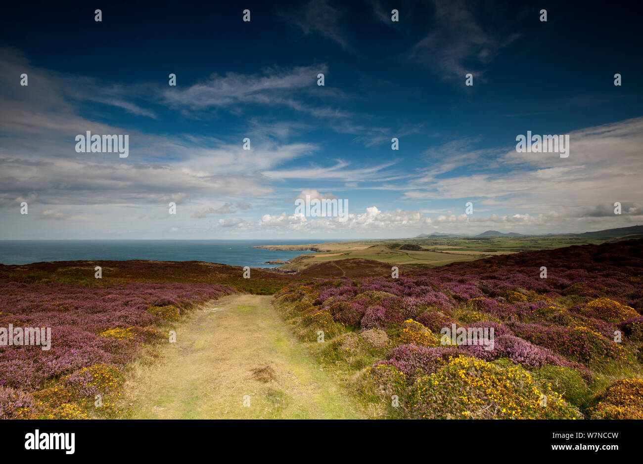 Ein Blick in Richtung Norden entlang der Llyn Halbinsel von Anelog, Anzeigen der Küstenweg. In der Nähe von Aberdaron, Gwynedd, Wales, August 2011. Stockfoto