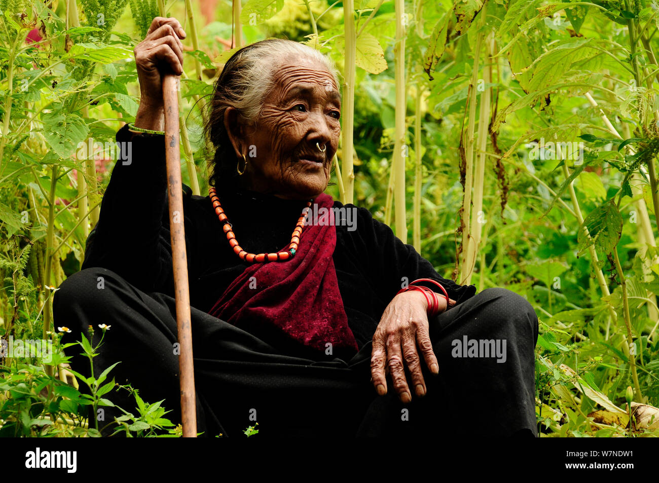 Alte Frau in der budhi Gandaki River Valley. Manaslu Conservation Area, Himalaya, Nepal, Oktober 2009. Stockfoto