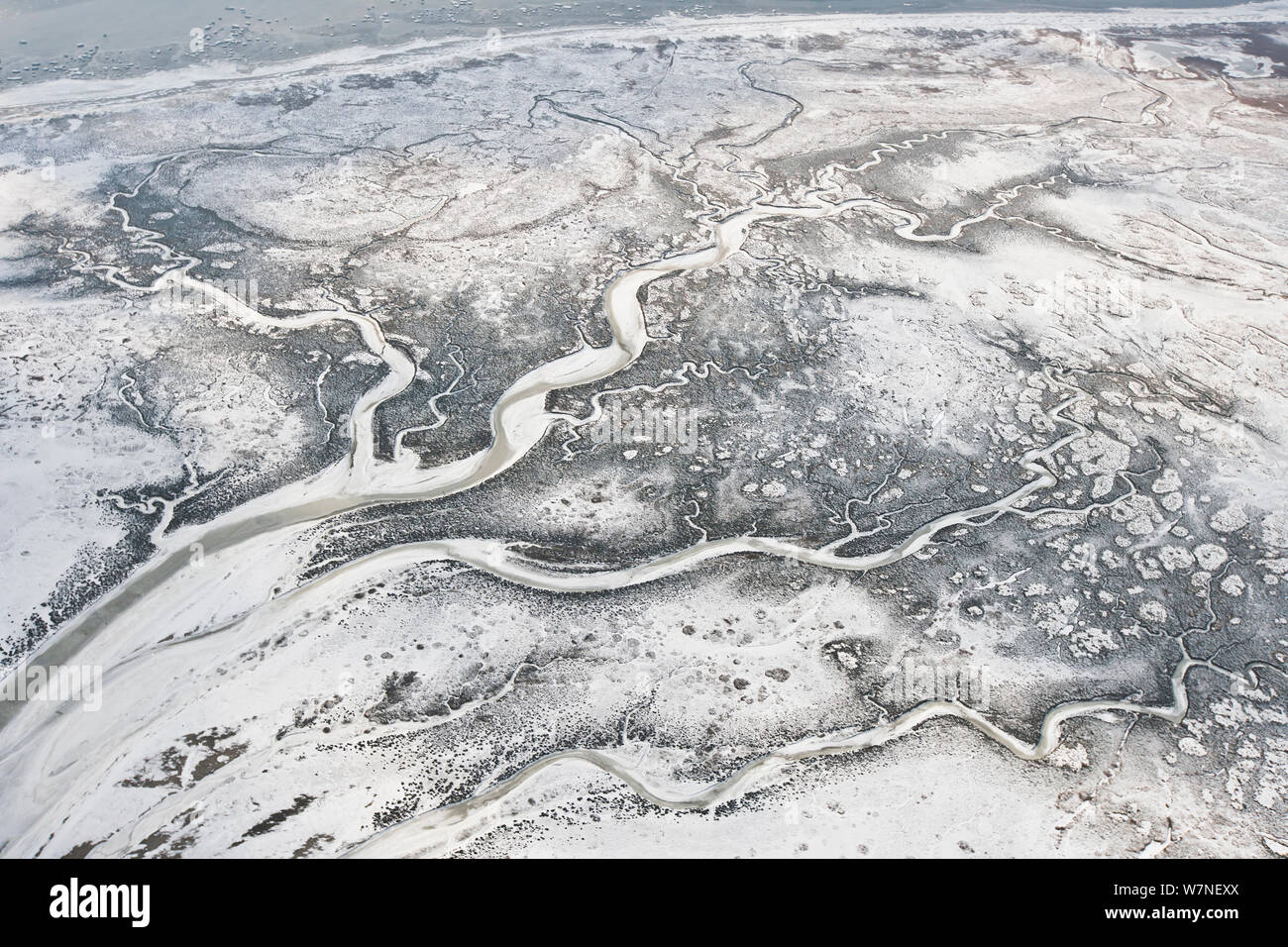 Luftaufnahme von Gezeiten Bäche im Schnee Salzwiesen auf Memmert Insel, im Winter mit Schnee, Ranzelwatt Nationalpark Wattenmeer in der Nähe von Borkum, Niedersachsen, Ostfriesland, Niedersachsen, Deutschland Februar 2012 Stockfoto