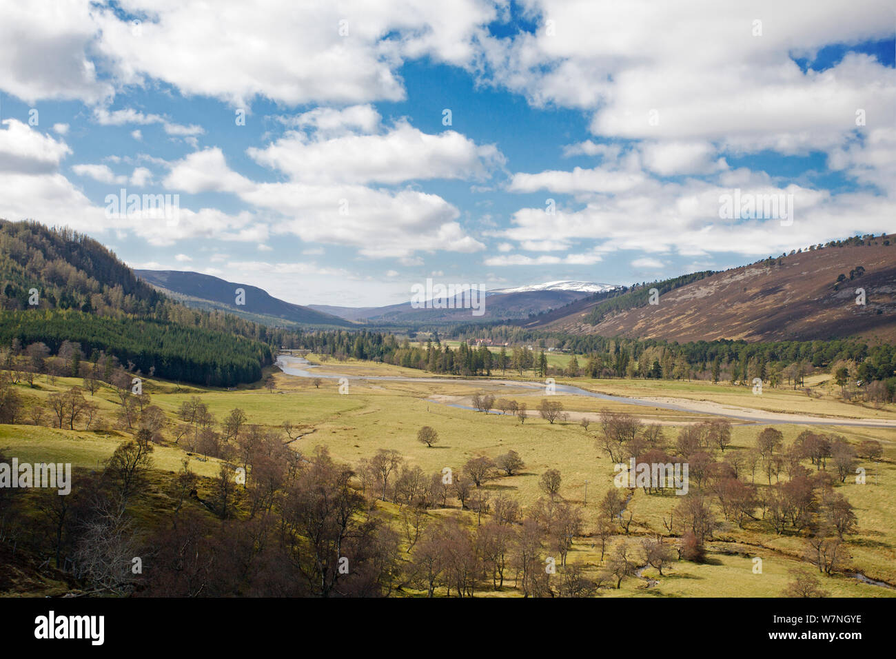 Mar Lodge Estate und den Fluss Dee. Deeside, Schottland, April 2012. Stockfoto