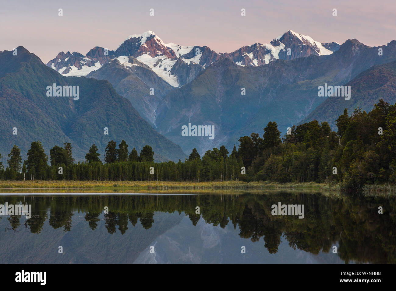 Am späten Abend Licht auf die Souttern Alpen perfekt relected im ruhigen Wasser des Lake Matheson. Neuseelands höchstem Berg, Aoraki Mount Cook oder (3754 m) ist Tho rechts und Mount Tasman (3498 m) nach links. Lake Matheson ist ein Gletscher See, gebildet wurde. Vor 14.000 Jahren. Der See ist von Native kahikatea (white pine) und rimu (Red pine) Bäumen, sowie Flachs und eine Vielzahl von Neuseeland farn Arten. ox Gletscher, Westland National Park, West Coast, South Island, Neuseeland umgeben. Januar, 2008. Stockfoto