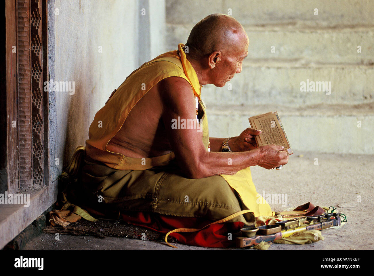 Buddhistischer Mönch lesen, Kloster Tengboche (3.800 m). Sagarmatha National Park (Weltkulturerbe der UNESCO). Khumbu/Everest Region, Nepal, Himalaya, Oktober 2011 Stockfoto