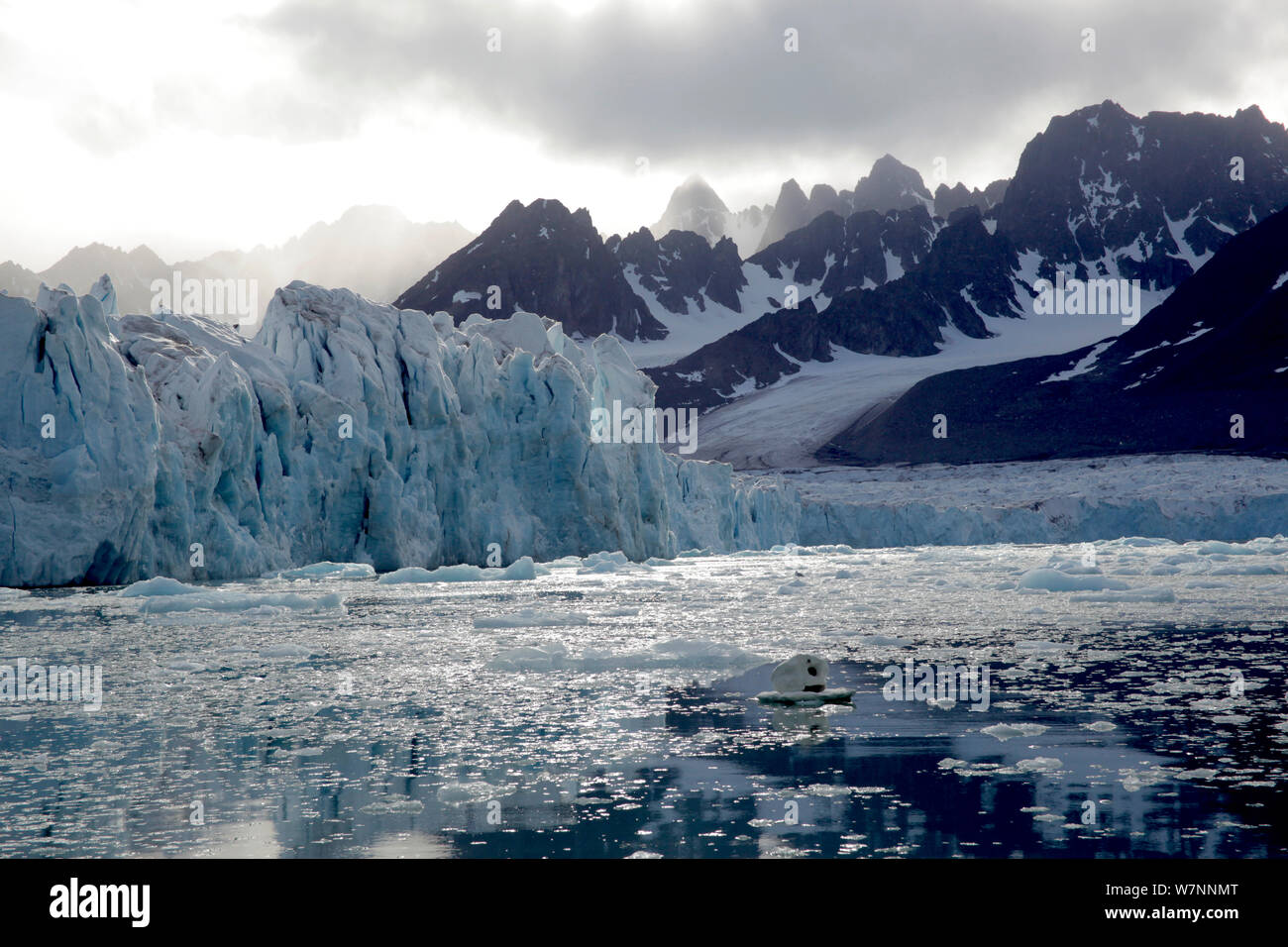 Svalbard Landschaft mit 'Eisberg cam' Remote Camera für Dreharbeiten Eisbären, Norwegen, vor Ort für "Polar Bear: Spy auf dem Eis" August 2010 Stockfoto