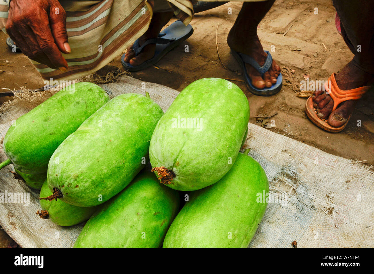In der Nähe von Melonen für Verkauf in einem Markt von Dhaka, Bangladesch, Juni 2012. Stockfoto