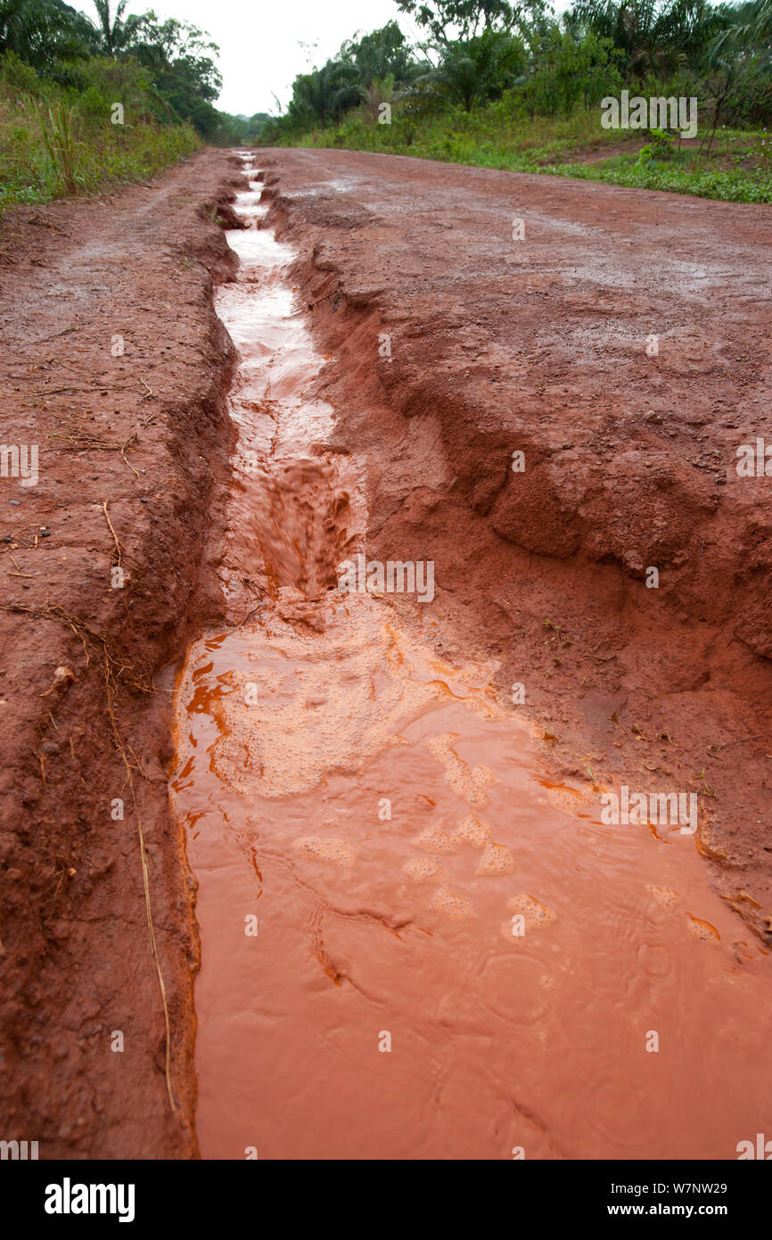 Erosion der Murram Straße nach Unwetter in der nassen Jahreszeit, Boukoko Dorf, Zentralafrikanische Republik März 2012 Stockfoto