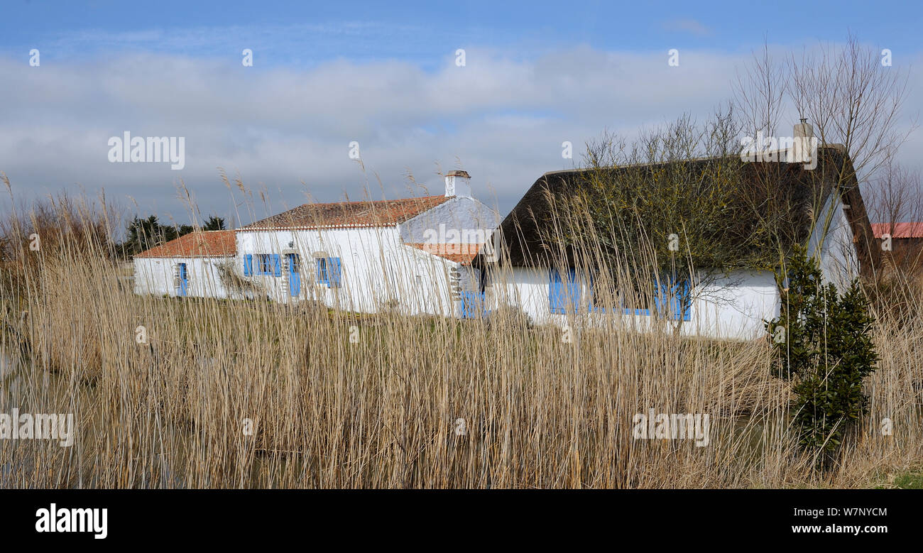 Traditionelle Häuser in der Nähe von Salzwiesen. Vendee, Frankreich, März 2010. Stockfoto