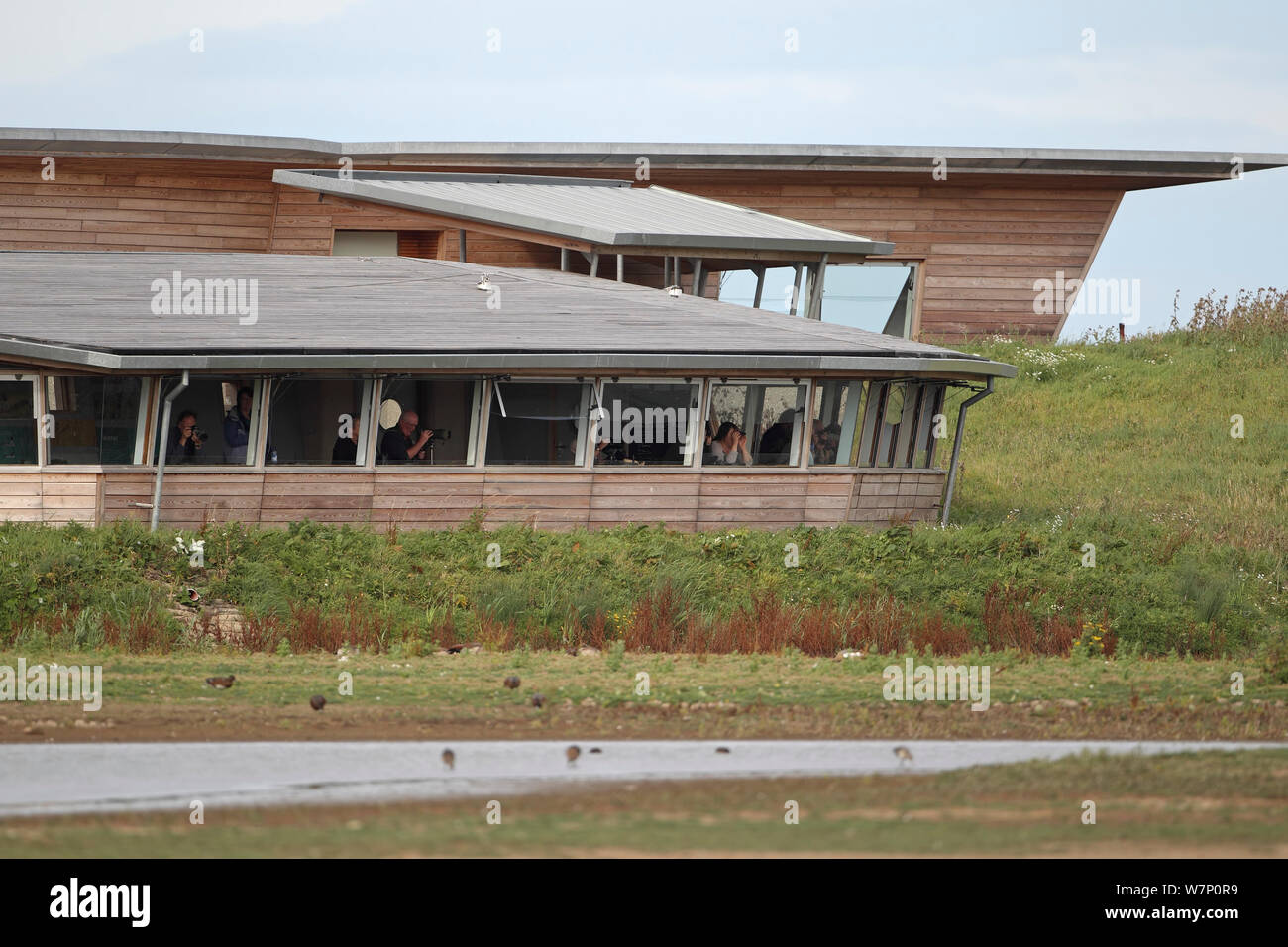 Birdwatching atRSPB Titchwell, Norfolk, UK, September 2012. Stockfoto