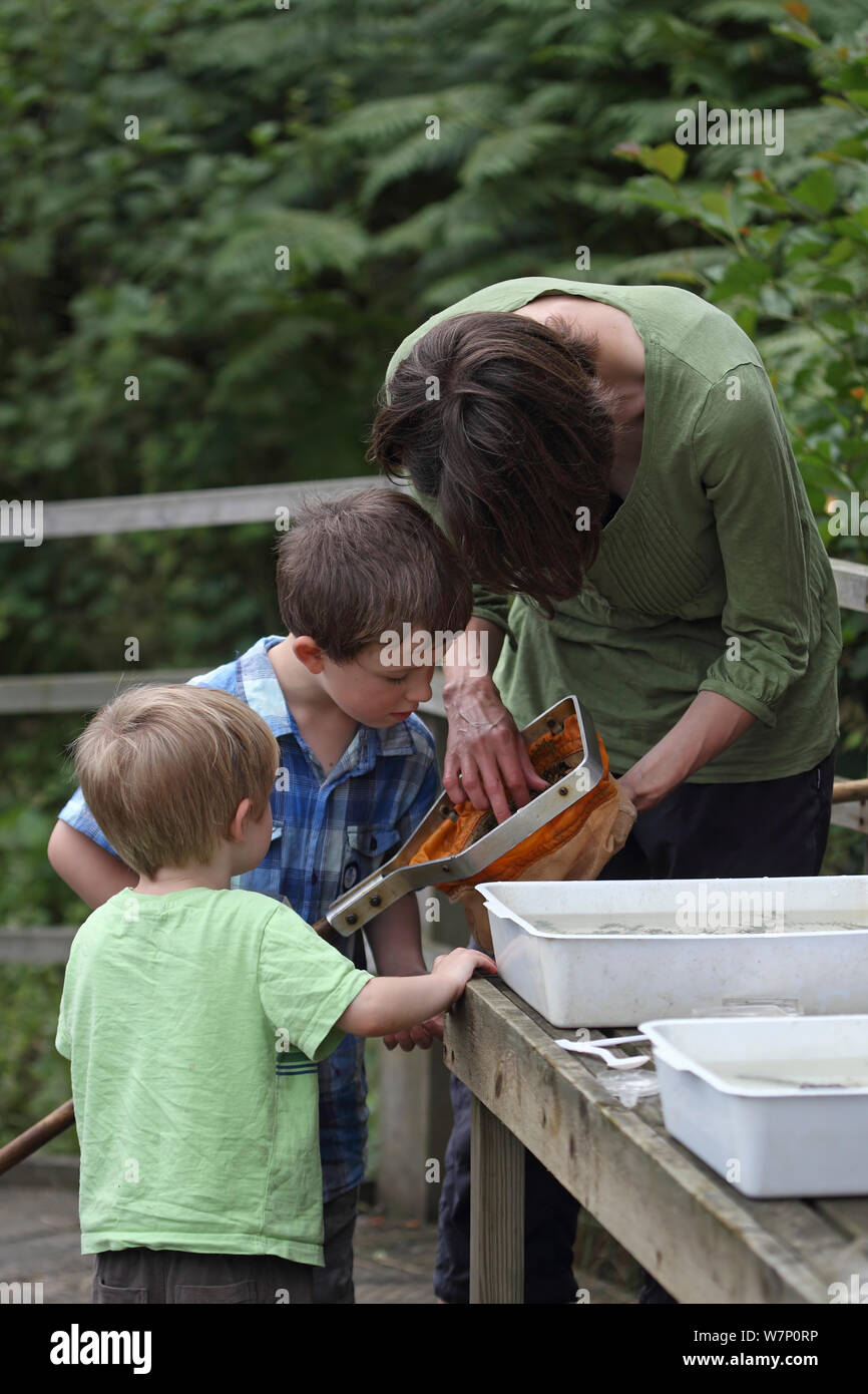 Kinder Prüfung ihrer finden Sie nach dem Teich eintauchen. RSPB Minsmere, Suffolk, England, August 2012. Stockfoto