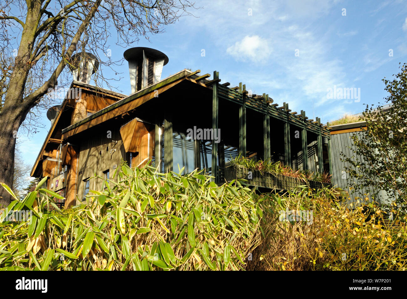 Das Zentrum für das Verständnis der Umwelt (CUE) ein eco Gebäude mit Hutzen, die eine passive Belüftung auf dem grünen Dach integrieren. Die Horniman Museum London UK Stockfoto