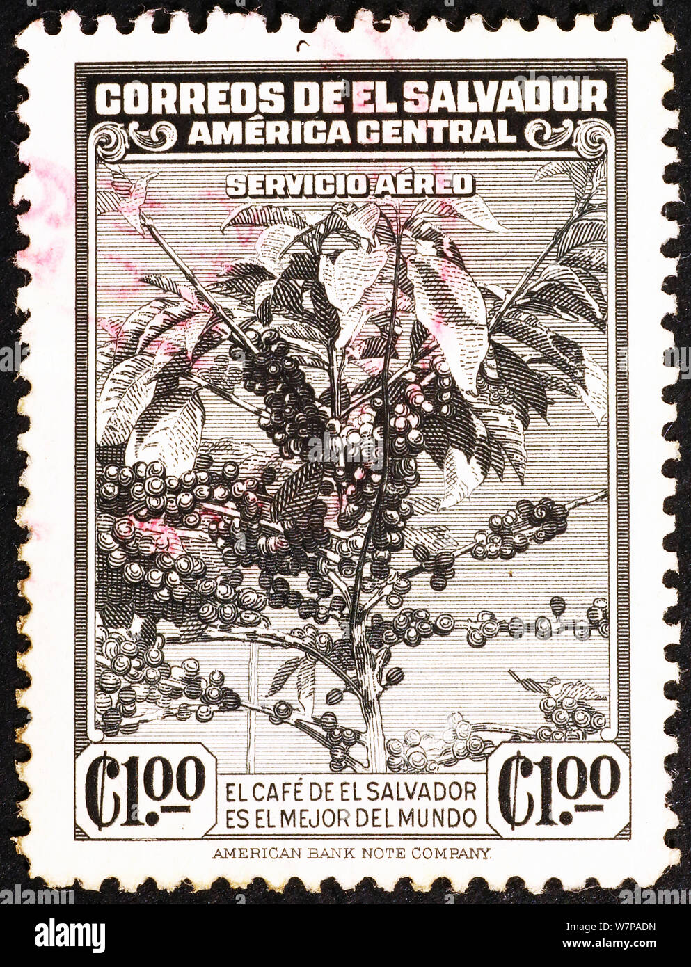 Kaffee Baum auf alte Briefmarke von El Salvador Stockfoto