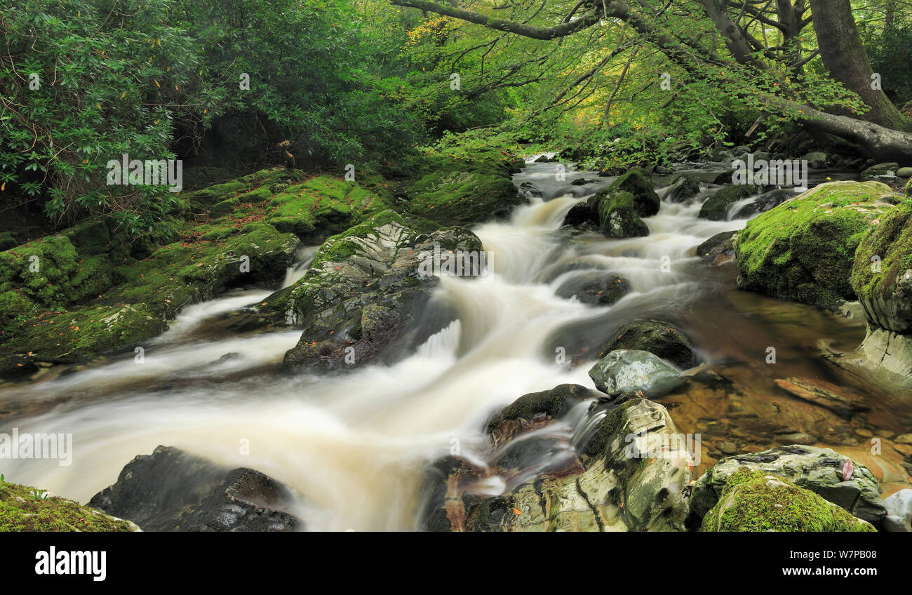 Tollymore Shimna Fluss, Forest Park, Newcastle County Down, Irland, Oktober 2012 Stockfoto