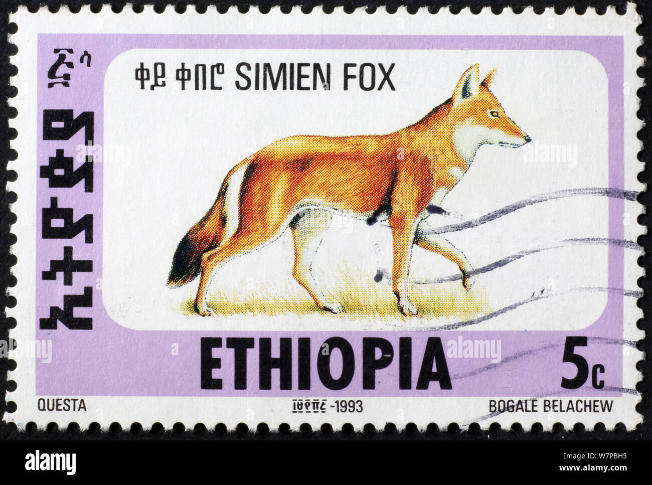 Simien Fox auf Briefmarke von Äthiopien Stockfoto