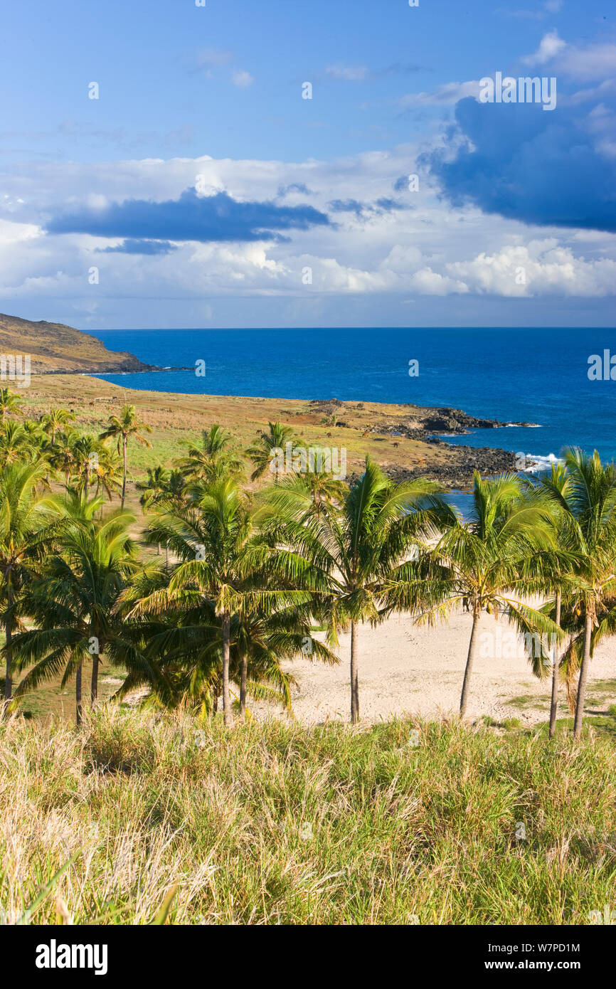 Anakena Strand, Isla de Pascua/Osterinsel, Rapa Nui, Chile 2008 Stockfoto