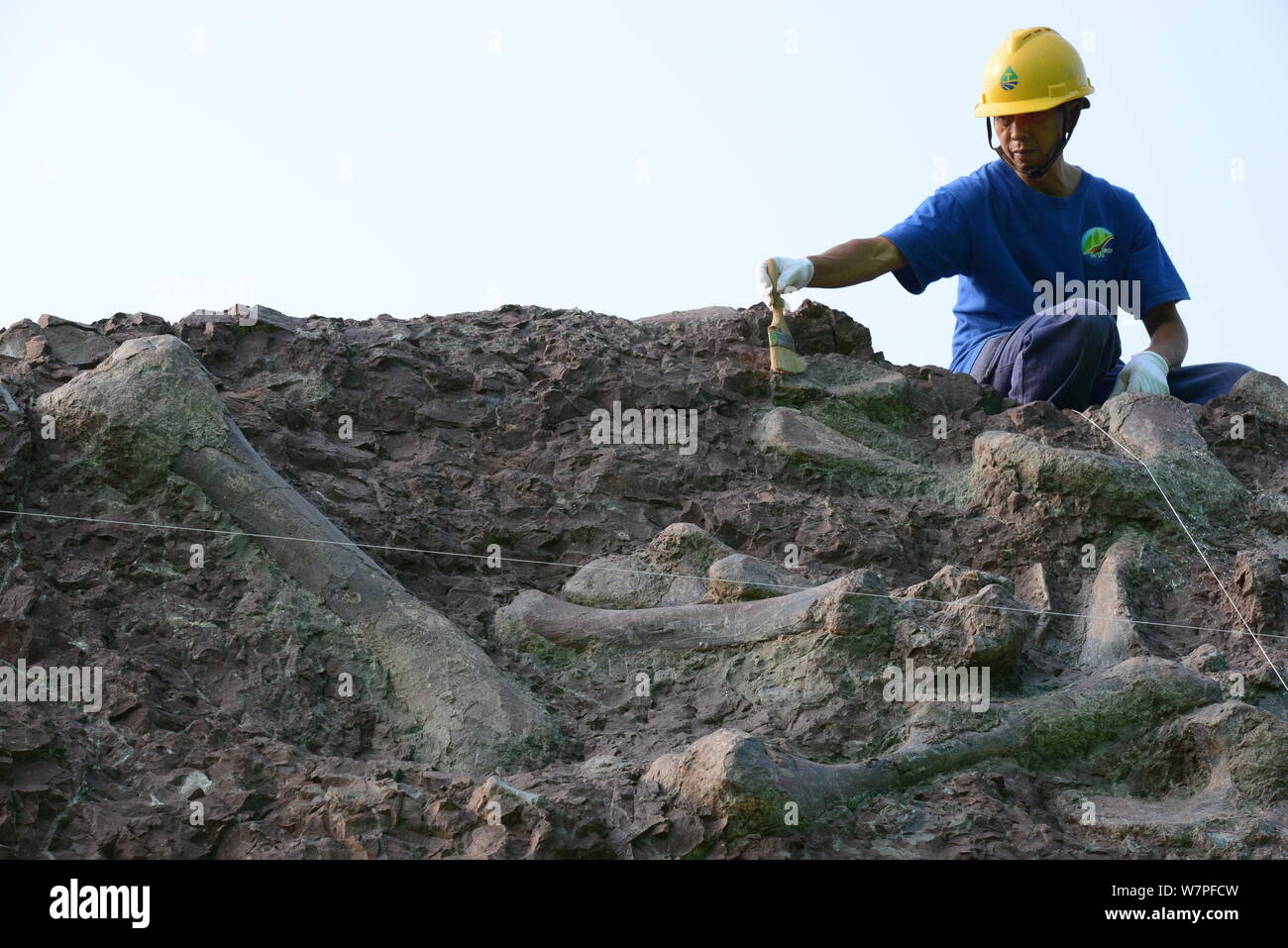 Ein chinesischer Arbeiter ausgräbt Dinosaurier Fossilien in einer Wand 150 Meter lang, 2 Meter tief und 8 Meter hoch, an der Ausgrabungsstätte in Laojun konzentriert Stockfoto