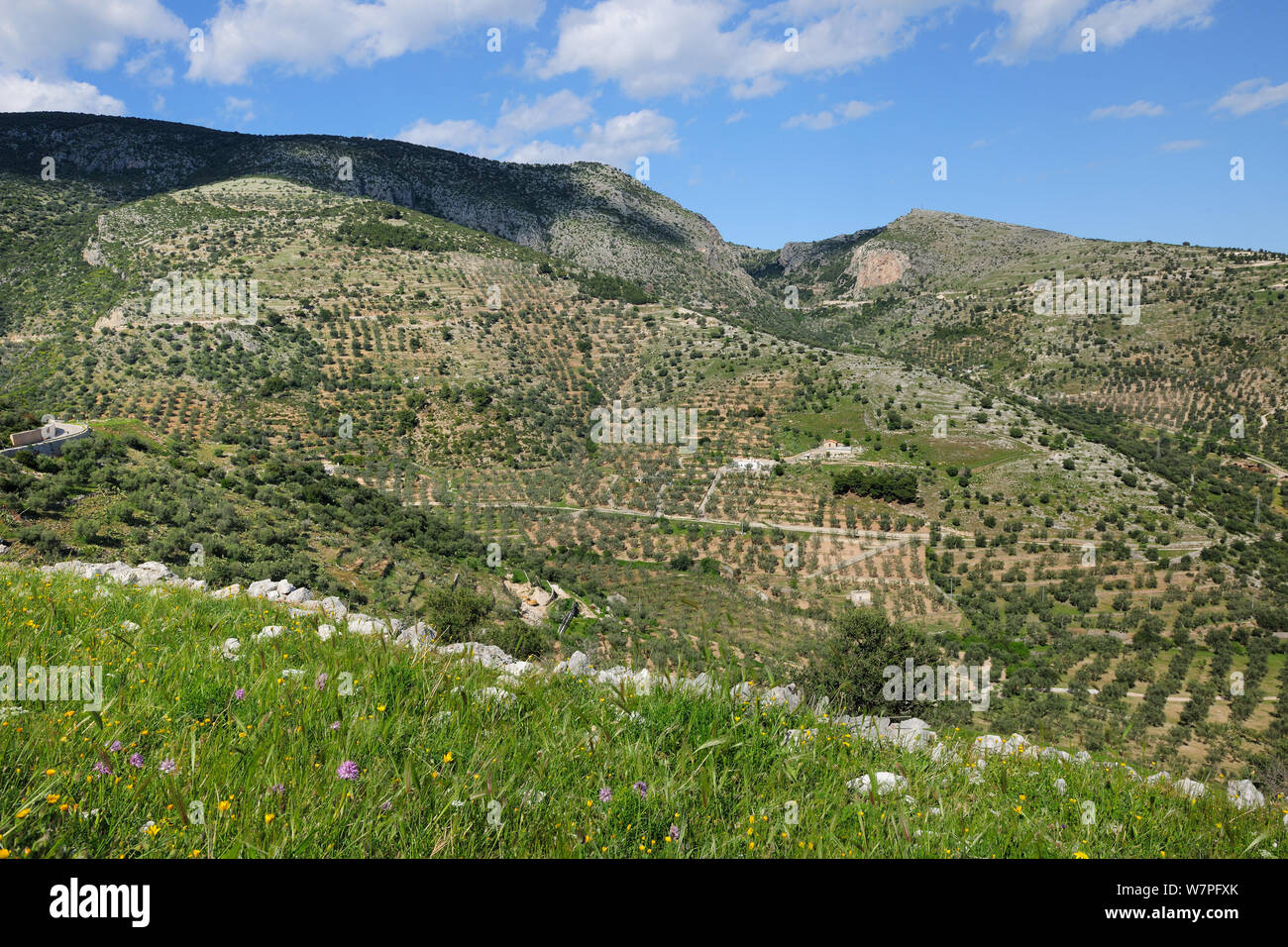 Rocky Mountain Feld in den Hügeln nördlich von Vieste, Gargano, Italien, April 2012 Stockfoto