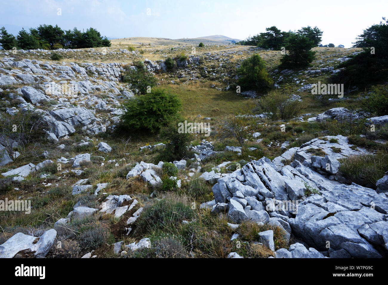 Erdfall oder Doline, eine Bildung, die durch Erosion von Kalkstein verursacht, Süd-ost Frankreich Stockfoto