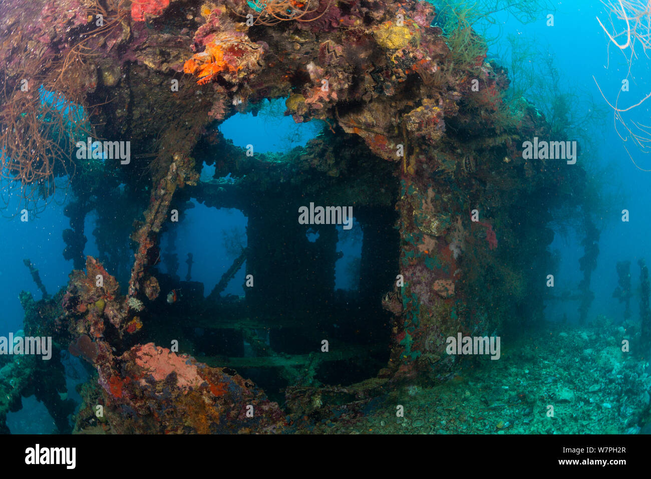 Wracktauchen, Iro Maru Wrack mit etablierten Coral Reef Lebensraum, Palau, Mikronesien 2010 Stockfoto