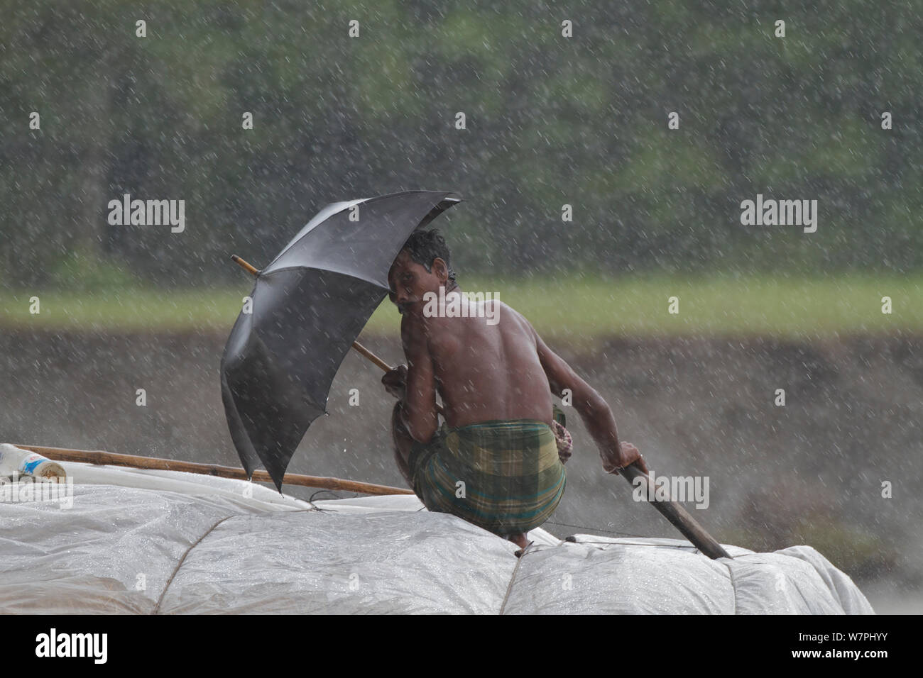 Fischer mit Regenschirm während der monsunregen, Sundarbans, Bangladesch, September 2011 Stockfoto