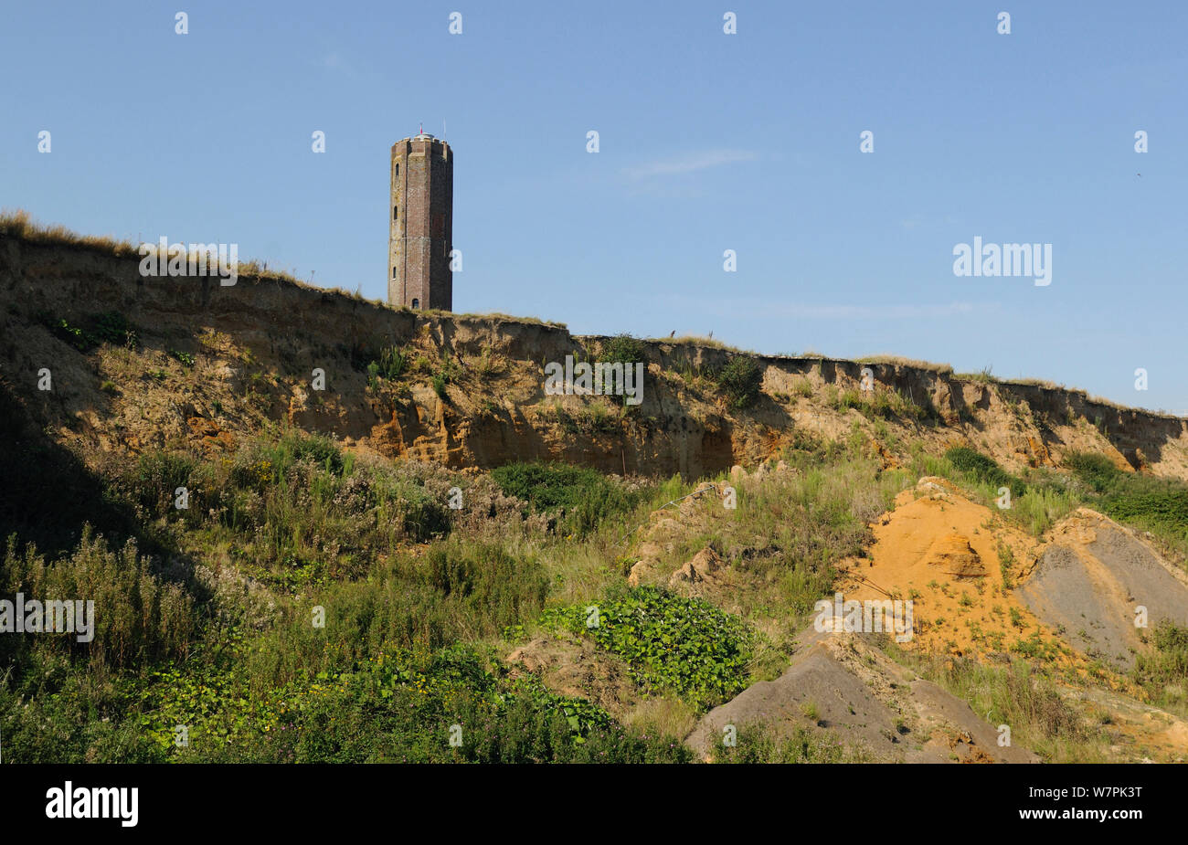 Die Naze Turm gebaut in 1720 und sandigen Felsen, die aus dem Pleistozän Red Crag Bildung, Walton-on-the-Naze, Essex, Großbritannien, September 2012. Stockfoto